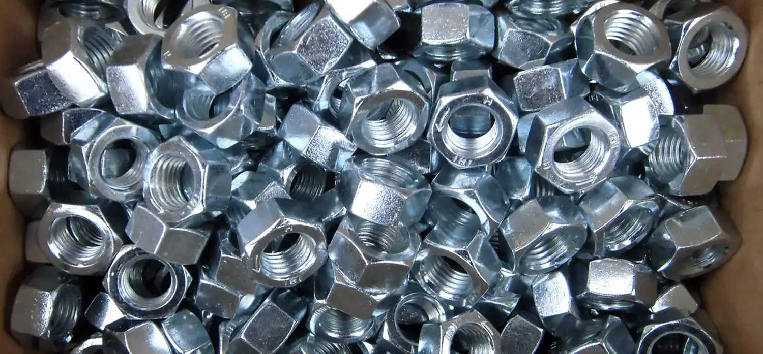 Stainless Steel Nuts