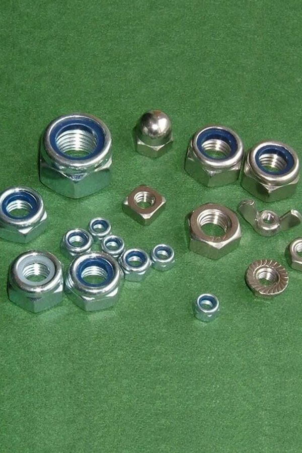 Stainless Steel Nuts